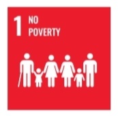 SDG 1