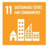 SDG 11