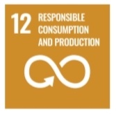 SDG 12