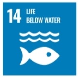 SDG 14