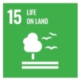 SDG 17
