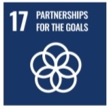 SDG 17
